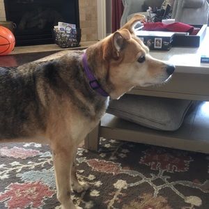 Meet your Posher, Alana